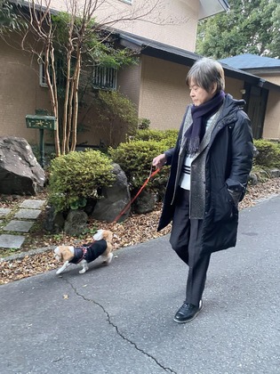 “12月から1月