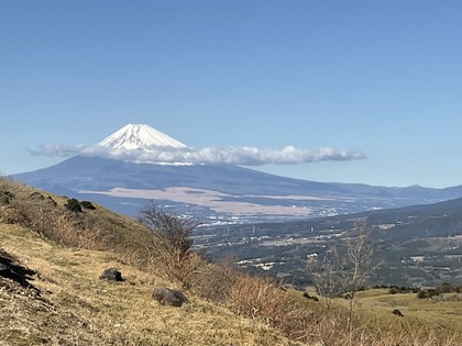 “12月から1月