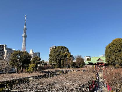 “2024年1月