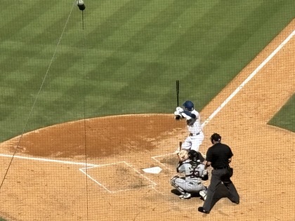 “大谷翔平”