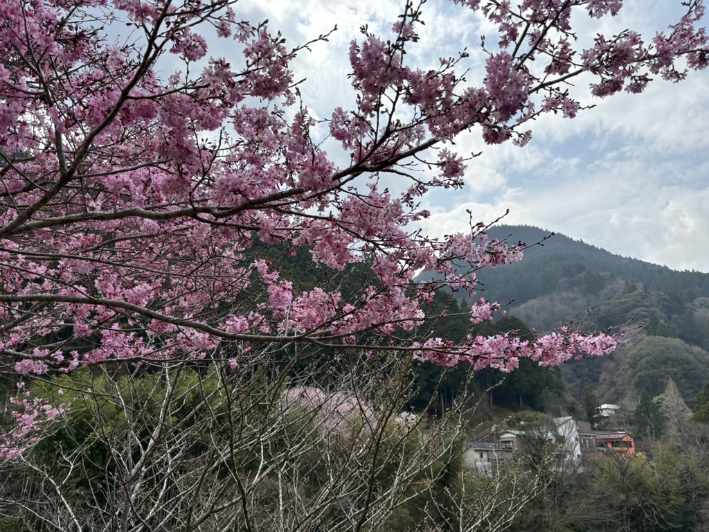 “”