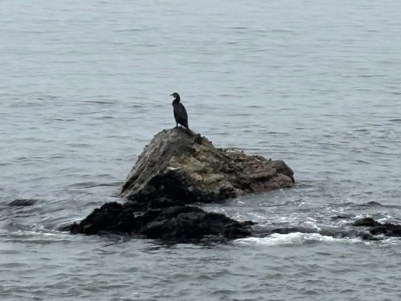 “”